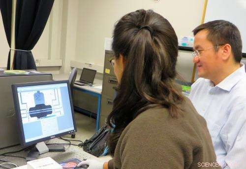 Phonon Scattering Insights Drive Design of Graphene Materials for Advanced Applications