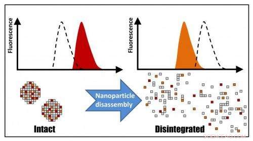 Real-Time Imaging Reveals Biodegradation of Medical Nanoparticles Using Fluorescent Probes