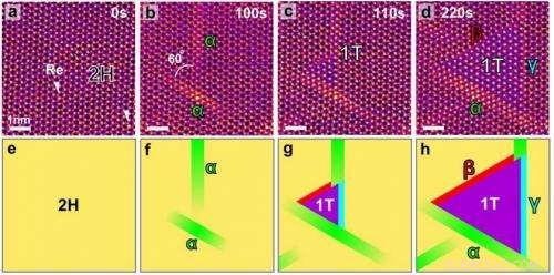 Scientists Capture Real-Time Phase Transition in 2D Semiconductors via Advanced STEM Imaging