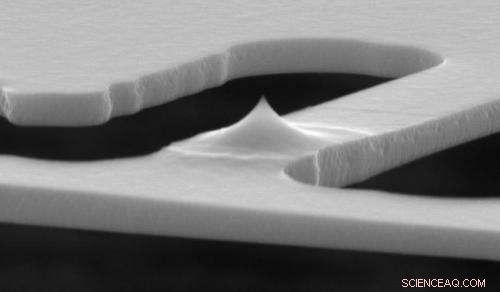 National Geographic Kids Sets Guinness Record with 11×14 Micrometer Magazine Cover