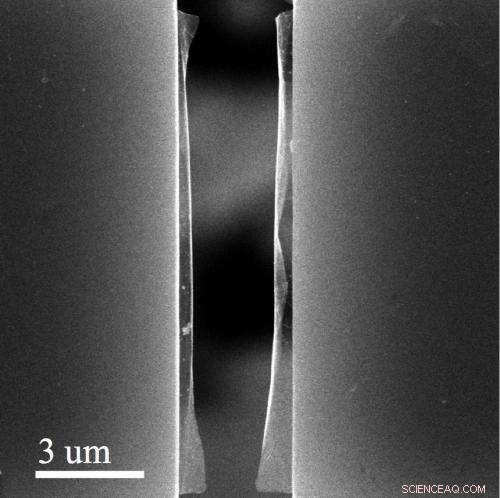 Graphene s Strength Limited by Its Weakest Link