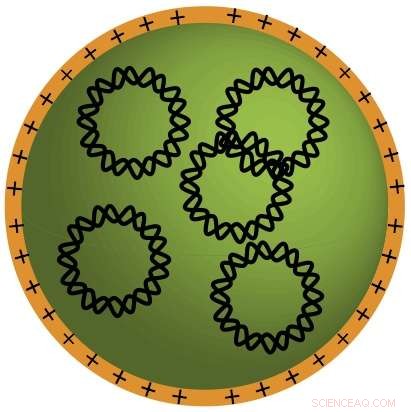 Biodegradable Nanoparticles Successfully Deliver Gene Therapy to Brain Tumor Cells
