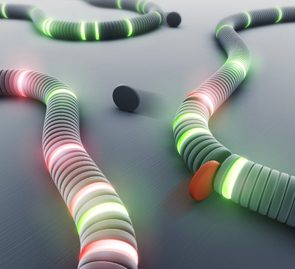 New Imaging Method Illuminates Molecular Self‑Assembly Processes