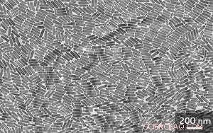 Nanoparticle-Enhanced In Vivo Imaging of Cell Movement and Signaling