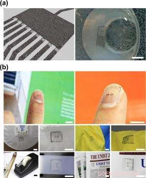 Innovative All‑Carbon Flexible Electronics for Plants, Insects, and Beyond