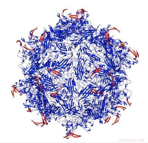 Dual-Lock Viral Delivery Boosts Targeted Cancer Treatment