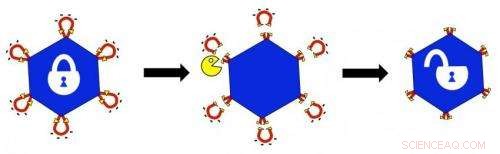 Dual-Lock Viral Delivery Boosts Targeted Cancer Treatment