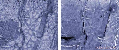 NIST s New Microscope Reveals Hidden Details Beyond Conventional Imaging