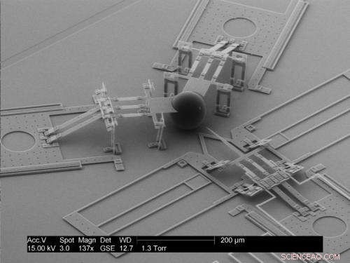 MEMS Nanoinjector: Precision Tool for Genetic Cell Modification