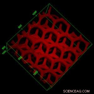 3-D Printed Liver-Like Device Filters Blood Toxins
