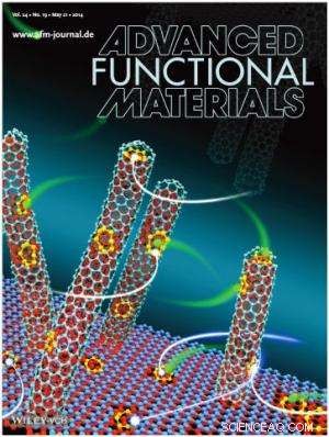Hybrid Nanocarbon and Porous Carbon Pave Way for High-Performance Lithium‑Sulfur Batteries
