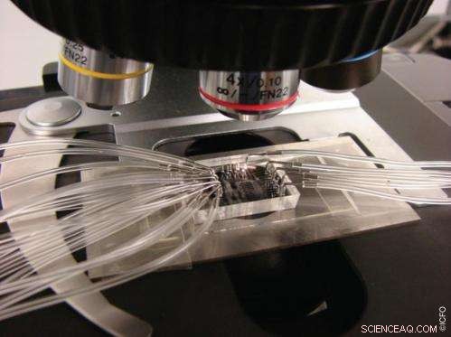 New Nano‑Chip Detects Cancer Early with Ultra‑Sensitivity