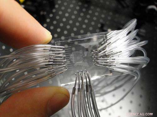 New Nano‑Chip Detects Cancer Early with Ultra‑Sensitivity