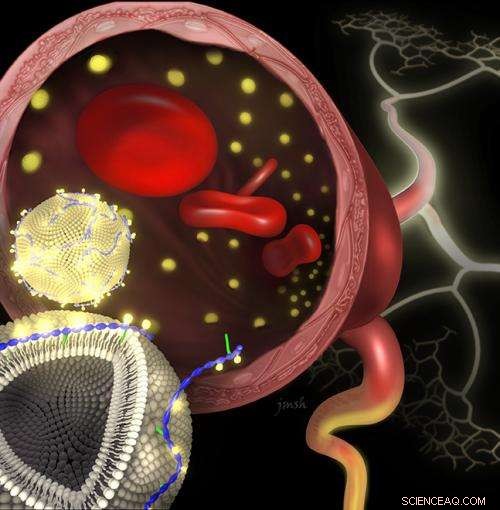 Researchers Harness Weak Chemical Forces to Strengthen Cutting-Edge Imaging Technology