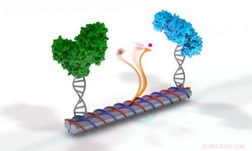 DNA Nanotechnology Brings Enzymatic Catalysis Within Reach