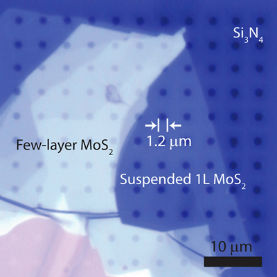 First Precise Measurement of Molybdenum Disulfide Thermal Conductivity