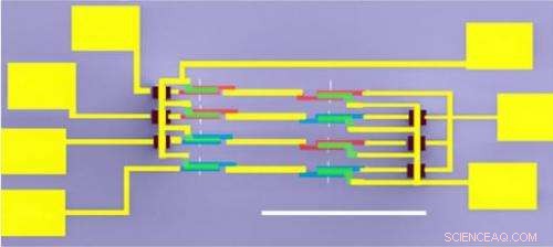 Pioneering 46‑Transistor CNT Device: Record‑Breaking Complexity on Six Carbon Nanotubes