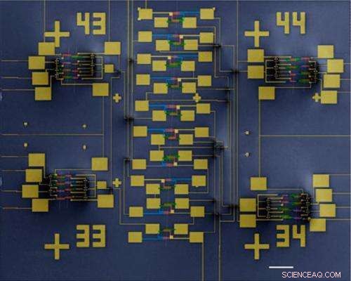 Pioneering 46‑Transistor CNT Device: Record‑Breaking Complexity on Six Carbon Nanotubes