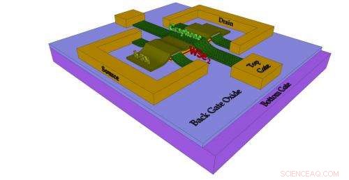 Transparent Thin-Film Transistors Propel Flexible Screen Innovation