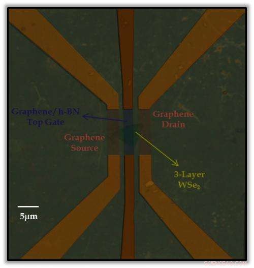 Transparent Thin-Film Transistors Propel Flexible Screen Innovation