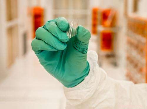 Transparent Thin-Film Transistors Propel Flexible Screen Innovation