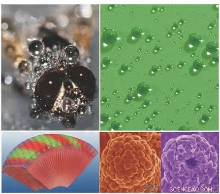 Fly‑Eye Inspired Nanostructures Offer Super‑Hydrophobic Anti‑Fogging Performance
