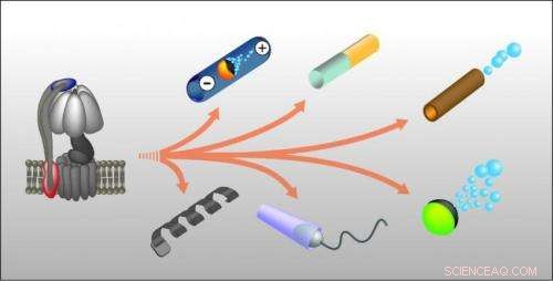 Advanced Nano- and Micromotors: Revolutionizing Biological & Chemical Applications