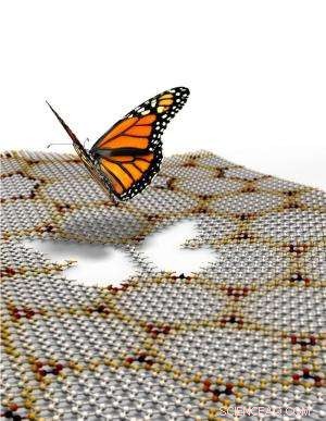 Multicolored Hofstadter Butterflies in Graphene/BN Heterostructures