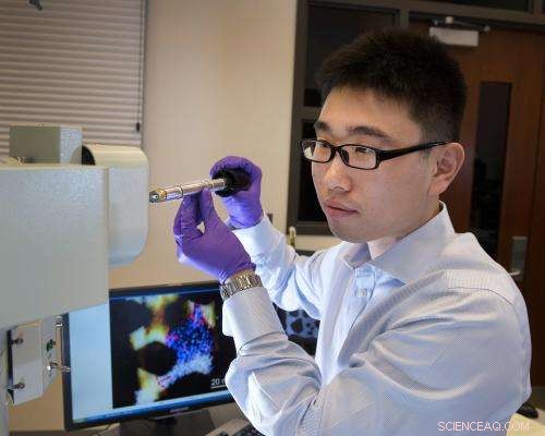 Researchers Pinpoint Tiny Nanocrystals Causing Lithium‑Ion Battery Degradation