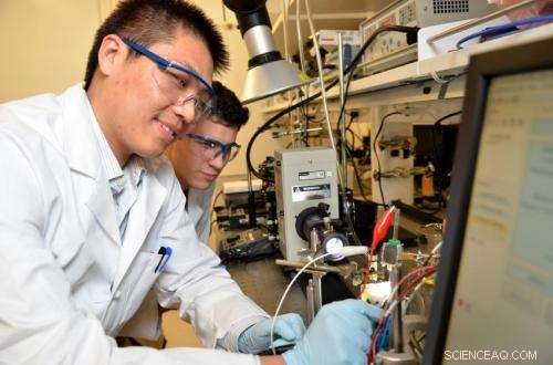Innovative Technique Stabilizes Common Semiconductors, Boosting Solar Fuel Production