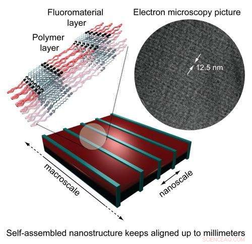 Scaling Molecular Self‑Assembly from Nanometers to Millimeters: A Breakthrough in Bottom‑Up Fabrication