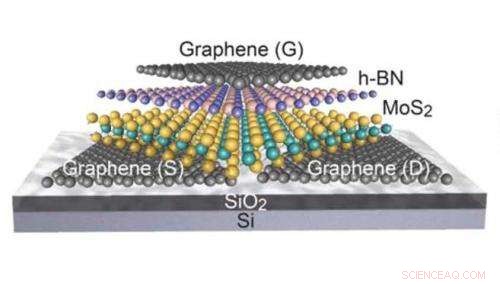 2D Transistors: Accelerating the Future of Electronics