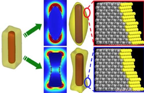 Exploring Surface Catalysis at the Nanoscale: Nanorice and Nanodumbbell Innovations