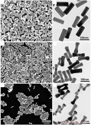 Exploring Surface Catalysis at the Nanoscale: Nanorice and Nanodumbbell Innovations