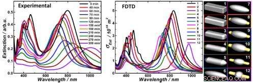 Exploring Surface Catalysis at the Nanoscale: Nanorice and Nanodumbbell Innovations