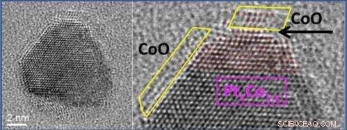 Unveiling the Evolution of Platinum-Cobalt Nanocatalysts: Surface Migration and Oxidation Dynamics