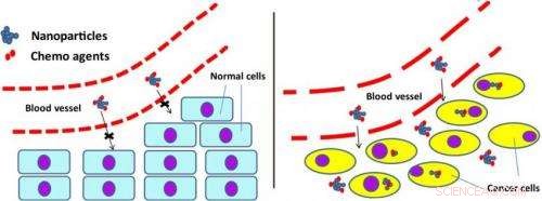 Targeted Nanotube Therapy Shows Promise Against Pancreatic Cancer