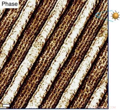 Researchers Achieve One-Minute Self-Assembly of Nanoparticle Thin Films