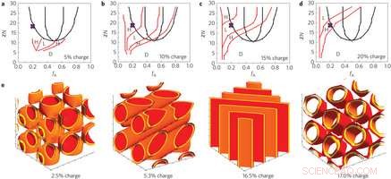 Engineering Advanced Ion Transport Networks to Boost Battery Performance