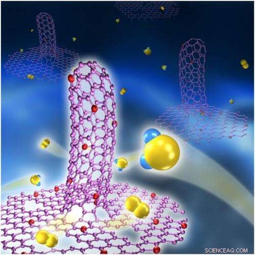 Enhanced Oxygen Reaction Catalysis with N‑Doped Graphene/Carbon Nanotube Hybrids