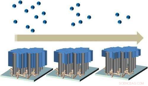 Carbon Nanotube Forests Harvest Atmospheric Moisture in Arid Environments