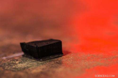 Carbon Nanotube Forests Harvest Atmospheric Moisture in Arid Environments