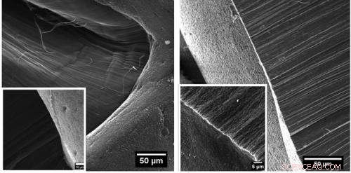 Carbon Nanotube Forests Harvest Atmospheric Moisture in Arid Environments