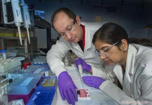 DNA-Linked Nanoparticles Form Switchable Thin Films on Liquid Surfaces