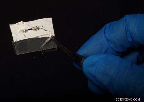 Carbon Nanotube-Based Terahertz Detectors Promise Advanced MRI Imaging