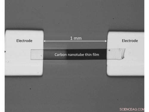 Carbon Nanotube-Based Terahertz Detectors Promise Advanced MRI Imaging