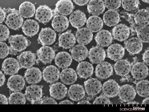Nanoshell Encapsulates Enzymes to Starve Cancer Cells While Evading Immune Detection