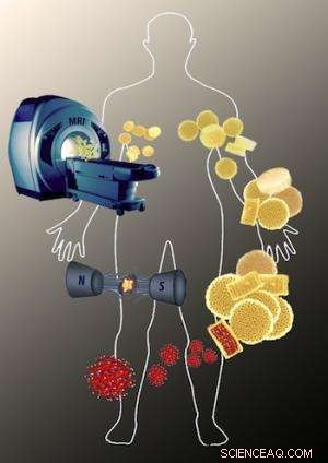 Nanoscale Composites Enhance MRI and Cancer Treatment: Magnetic Particles Target Tumors