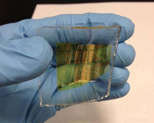 Hybrid CNT/IGZO Circuits Set to Rival Silicon in Flexible Electronics