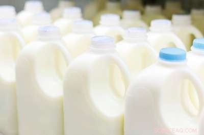 Scientists Reveal Milk Digestion Study Could Save Lives